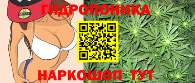 спайс Коммунар