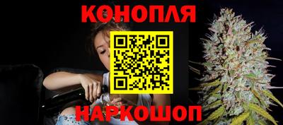 спайс Коммунар