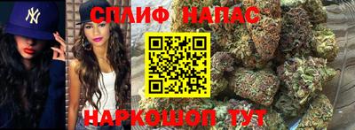 шишки Конаково